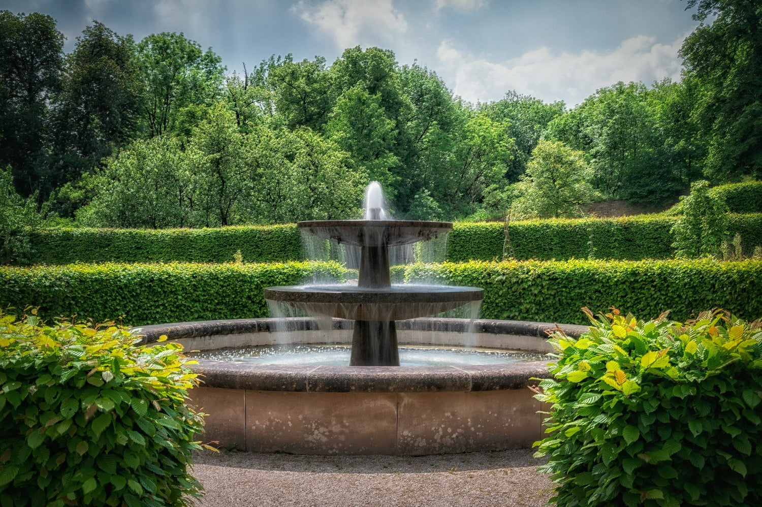 Garden
