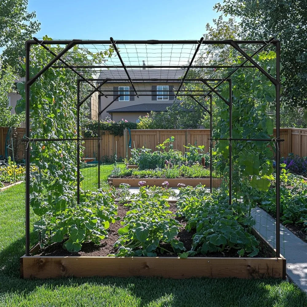 Large Outdoor Garden Arch Trellis for Climbing Plants, 79'' H x 79'' L x 79'' W Large Grape Vine Trellis Arch Arbor Gazebo, Grap