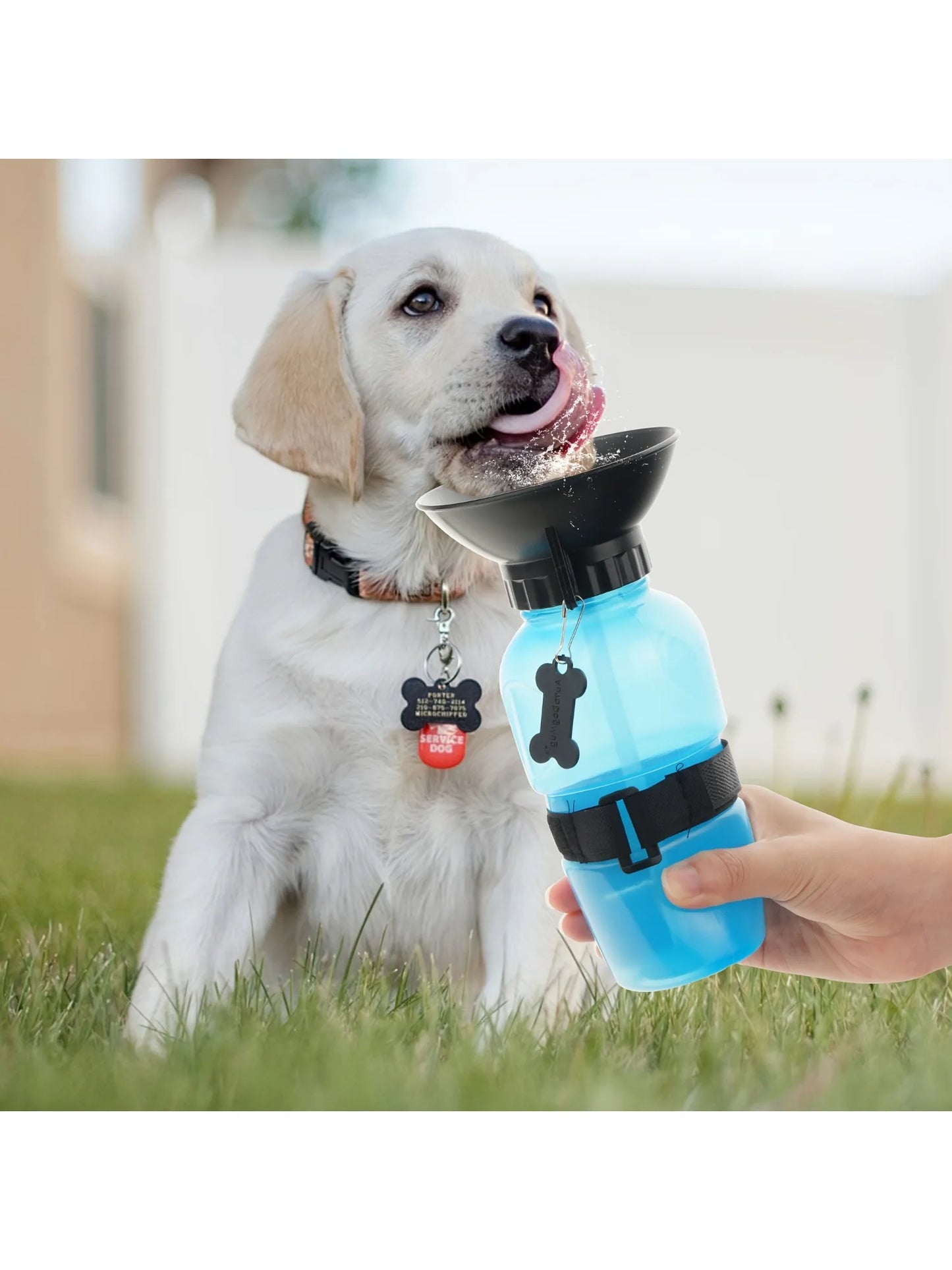 Hign Concerned Portable Dog Water Bottle Dispenser For Pets