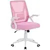 Ergonomics Mid Back Swivel Office Chair With Adjustable Arms
