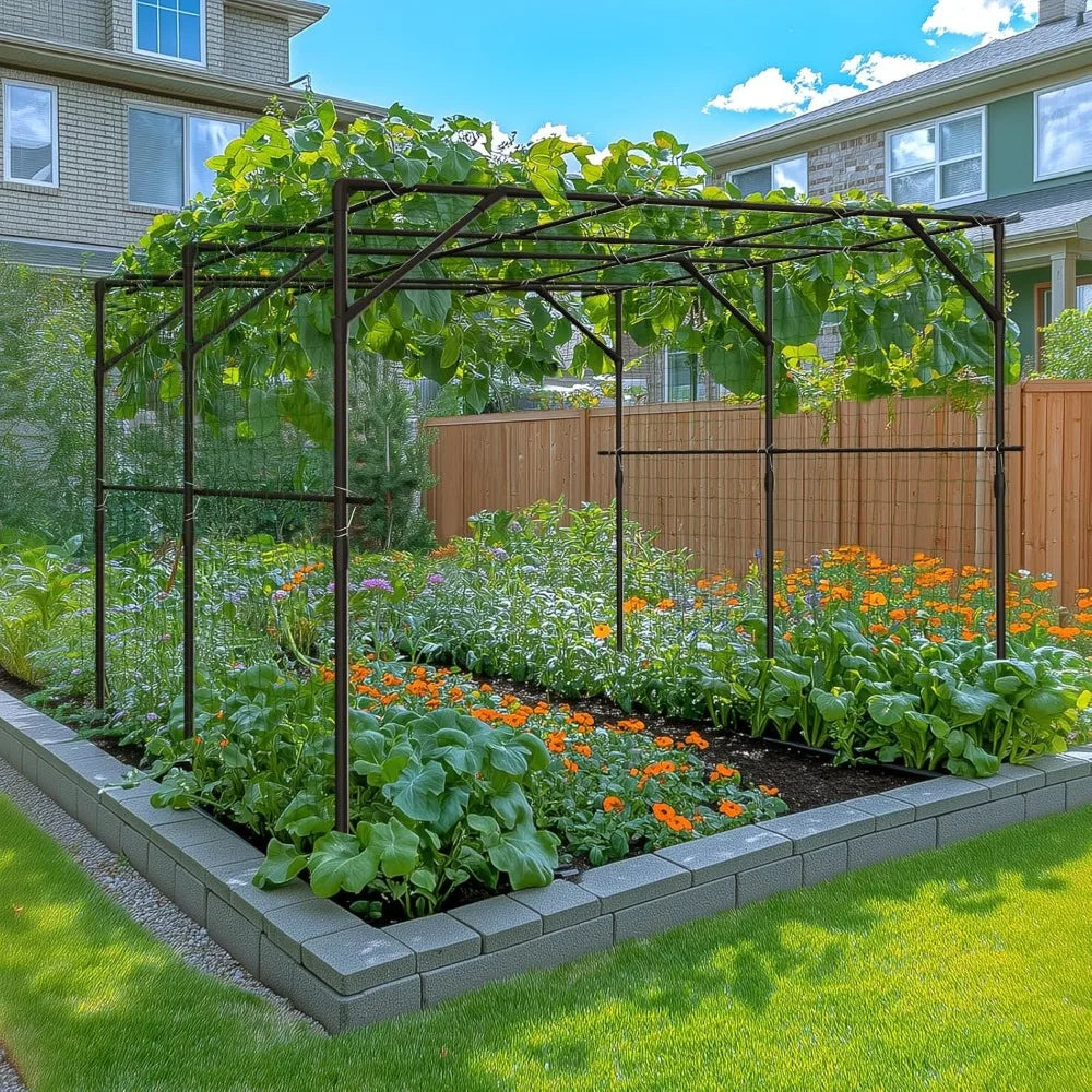 Large Outdoor Garden Arch Trellis for Climbing Plants, 79'' H x 79'' L x 79'' W Large Grape Vine Trellis Arch Arbor Gazebo, Grap